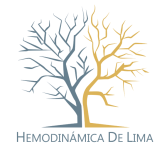 hemodinamica-logo___